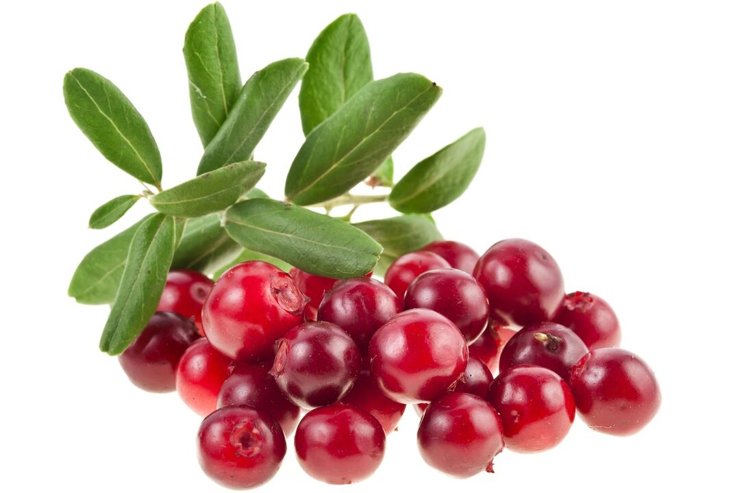 Mirtillo rosso per trattare la cistite